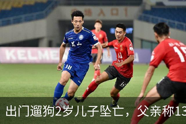 出门遛狗2岁儿子坠亡，父亲称13万丧葬费已对得起孩子，指责妻子带媒体去墓地是博流量；母亲含泪发声：儿子此前从未独自留在家中