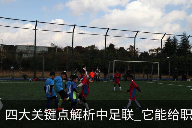 四大关键点解析中足联 它能给职业联赛带来哪些改变?