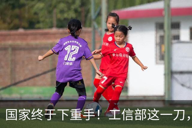 国家终于下重手！工信部这一刀，砍在了“速成车”的大动脉上