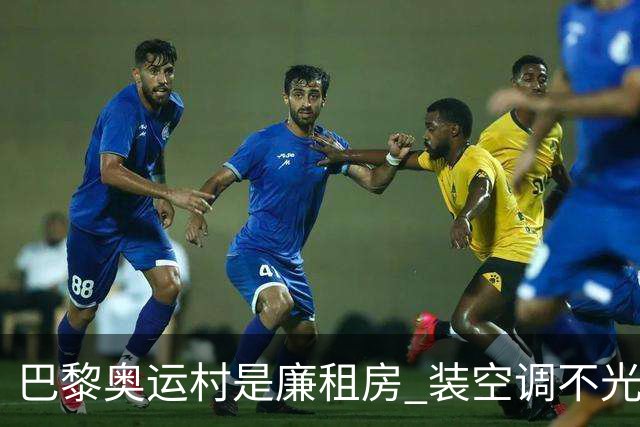 巴黎奥运村是廉租房 装空调不光是钱的事儿