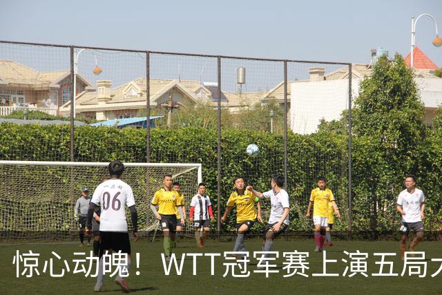 惊心动魄！WTT冠军赛上演五局大战，世界第一3 2险胜世界亚军，邱党崩盘原因揭晓