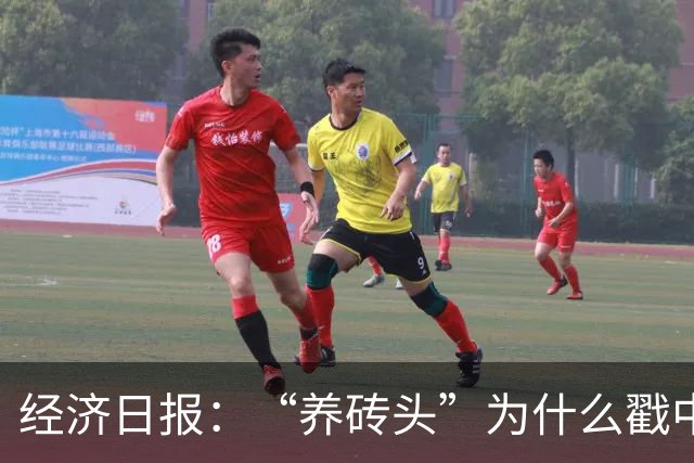 经济日报：“养砖头”为什么戳中年轻人？
