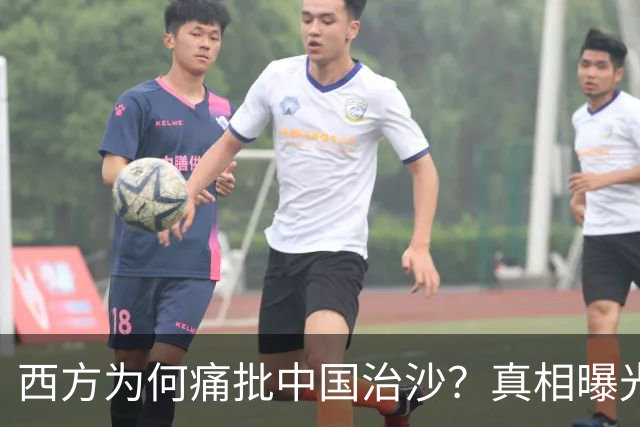 西方为何痛批中国治沙？真相曝光：动了的不是沙子，是老外奶酪！