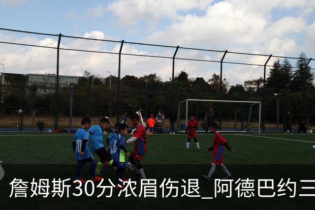 詹姆斯30分浓眉伤退 阿德巴约三双热火胜湖人