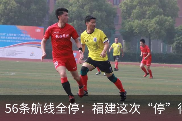 56条航线全停：福建这次“停”得比台风还快