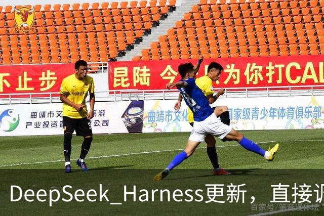 DeepSeek Harness更新，直接调用Codex、Claude Code做任务！